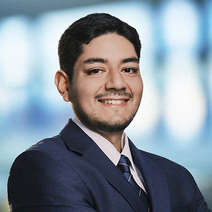 Flavio Carpio, Senior Consultant