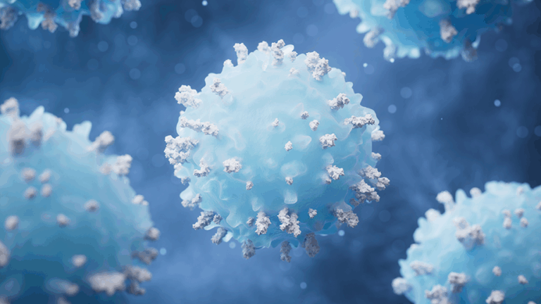 3D rendering of Lymphocytes