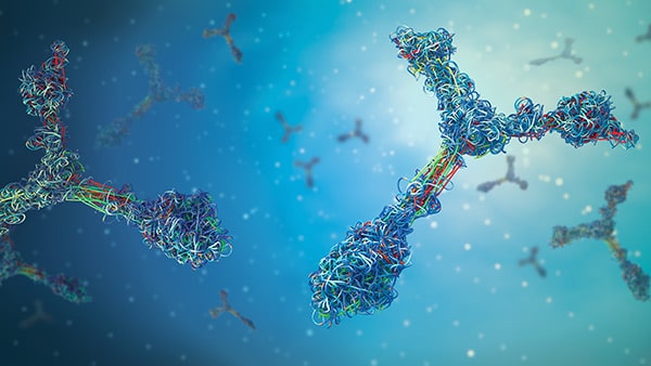 Antibodies 3d illustration