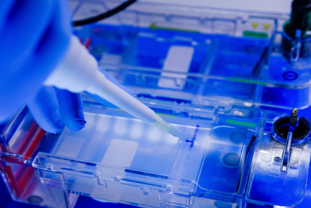 A closeup shot of a scientist conducting the gel electrophoresis biological process as part of coronavirus research